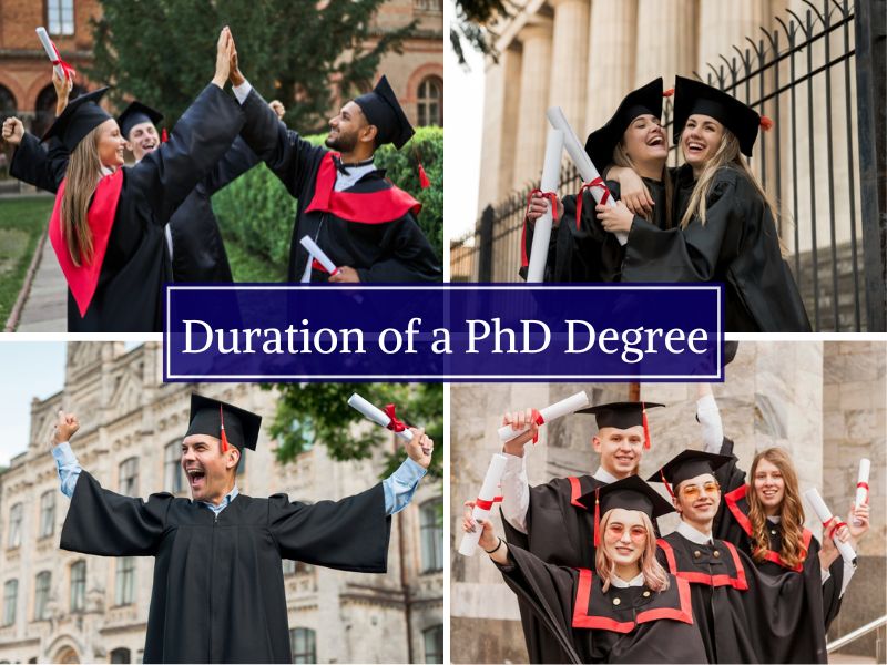 phd degree options