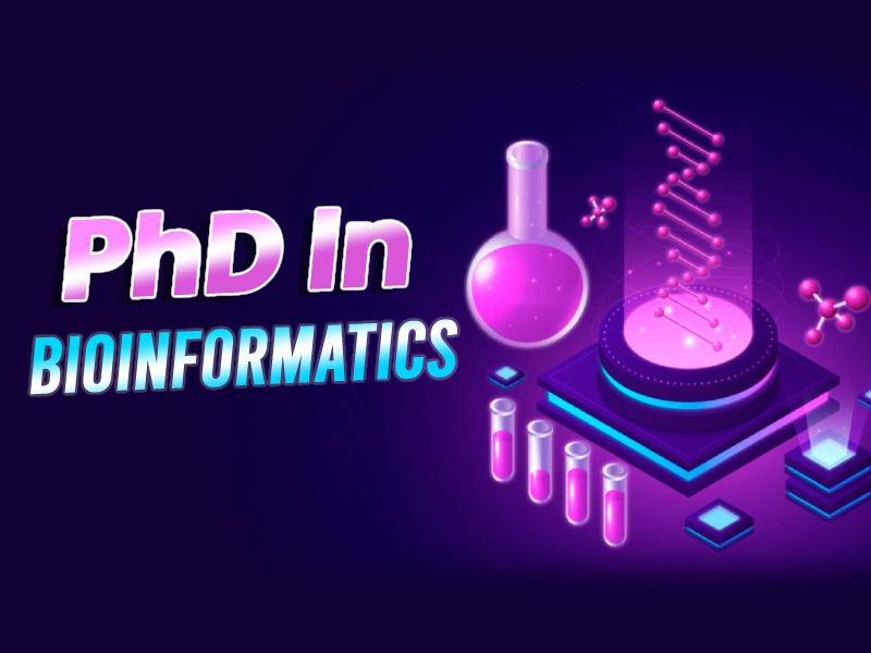 do you need a phd for bioinformatics